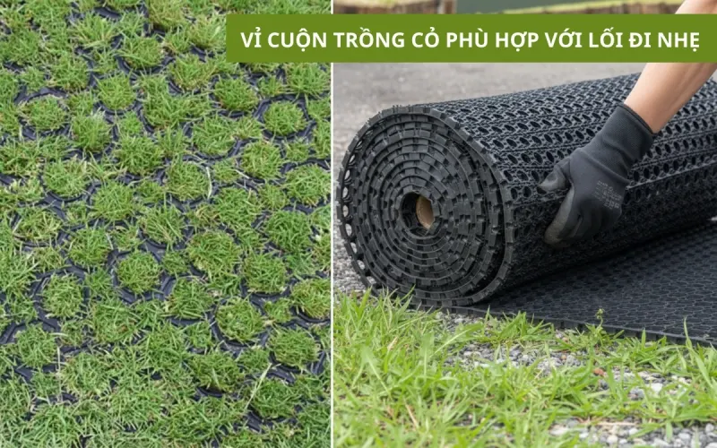Vỉ Trồng Cỏ Chịu Lực | Tất Tần Tật Về Lợi Ích, Ứng Dụng Và Cách Lắp Đặt